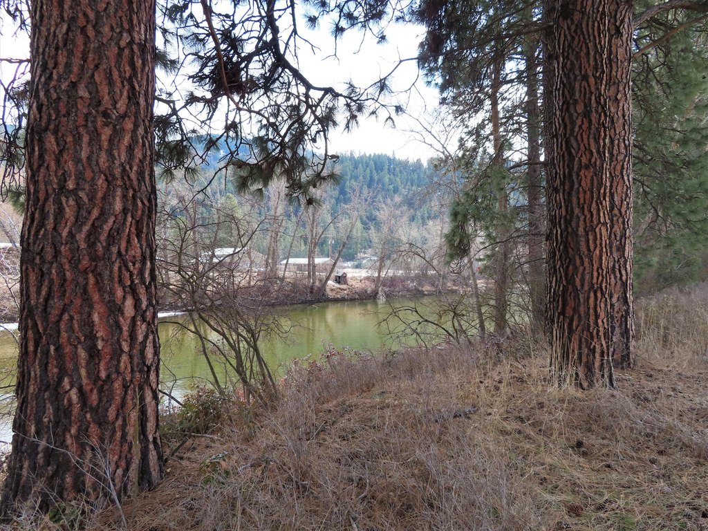 Picture 23