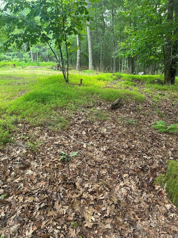 Picture 5