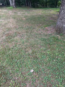 LAND - Napanoch, NY