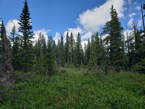 Treelined Lot Near Ski Resort