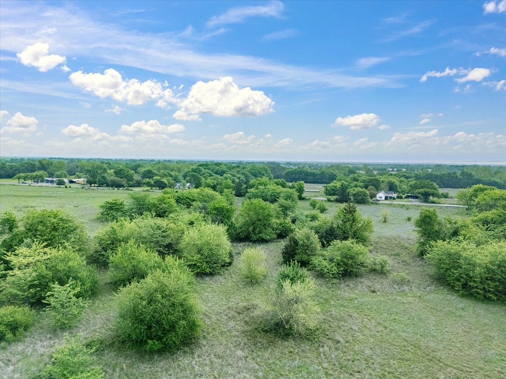 Picture 25