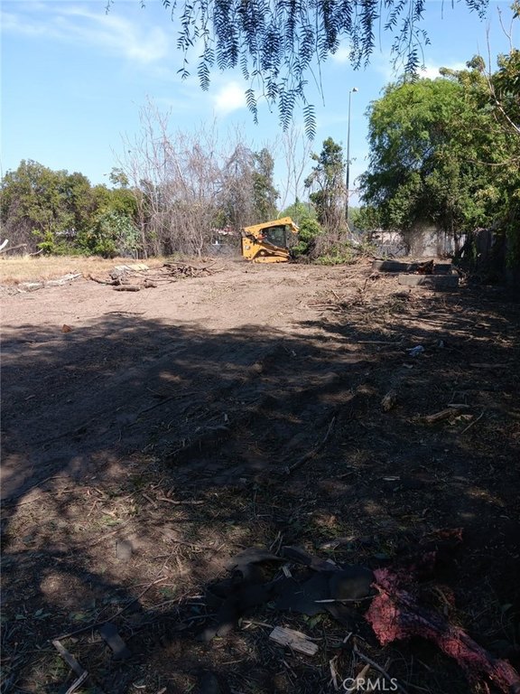 Picture 2