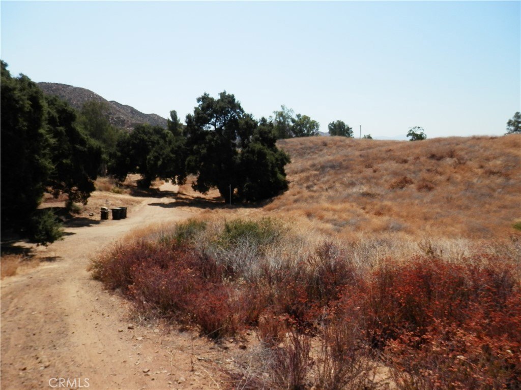 Picture 9