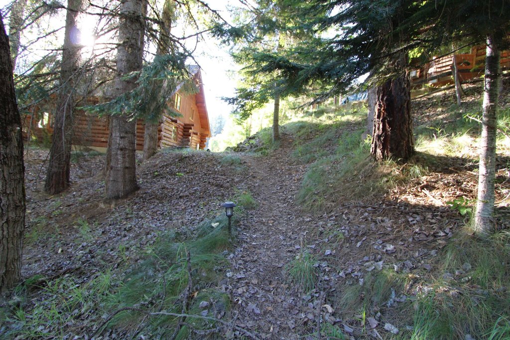 Picture 42