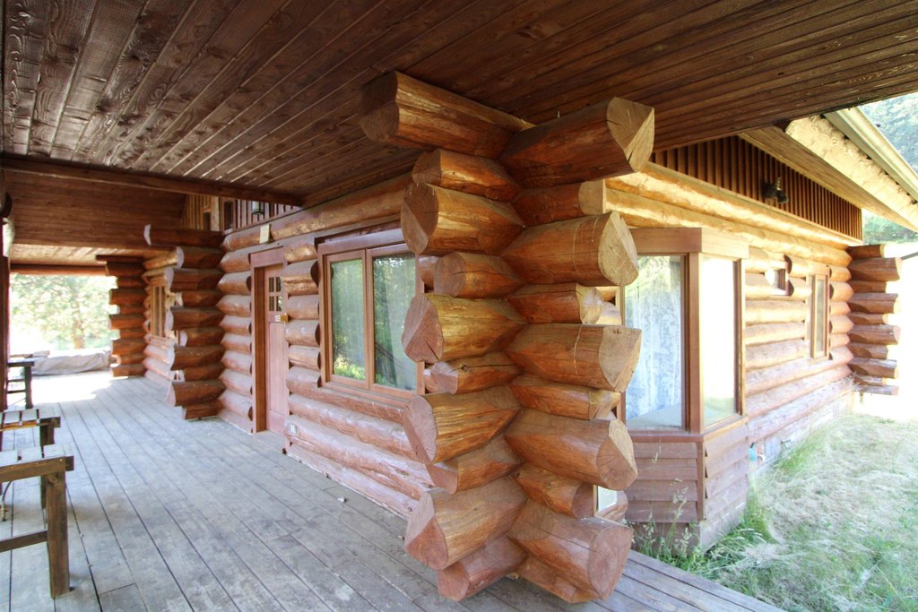 Picture 4