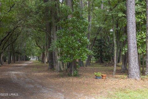 Wooded Corner Lot in Seabrook