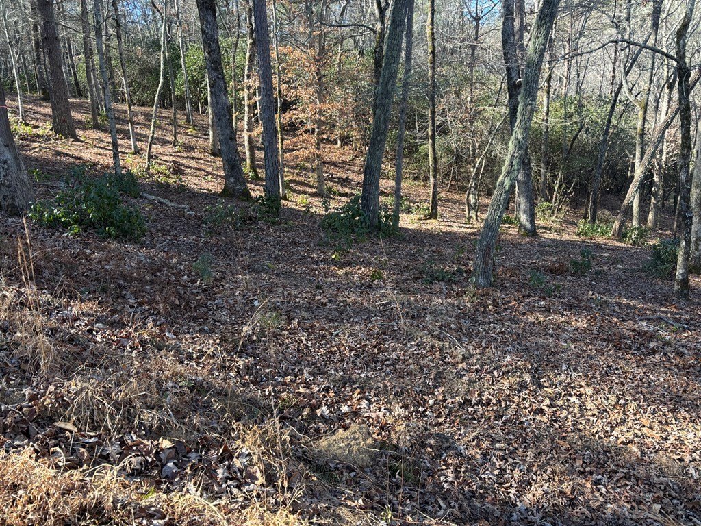 Picture 13