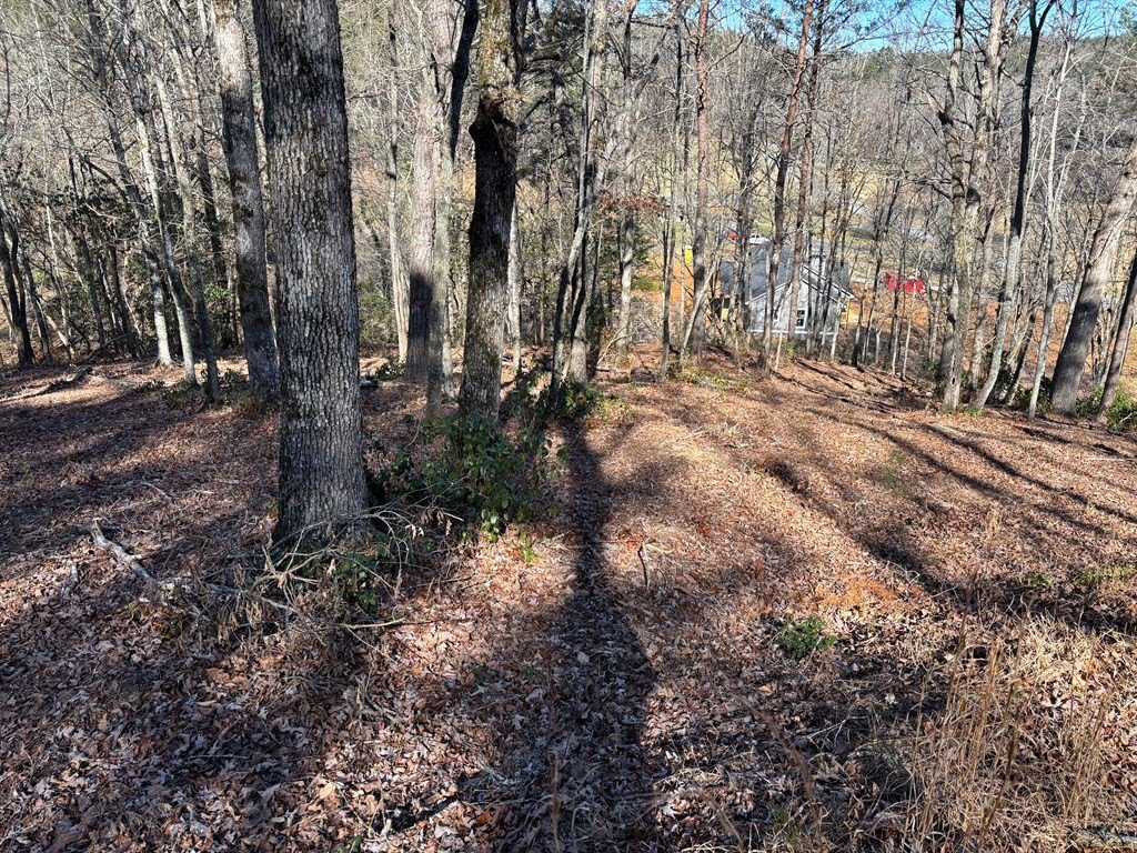 Picture 15