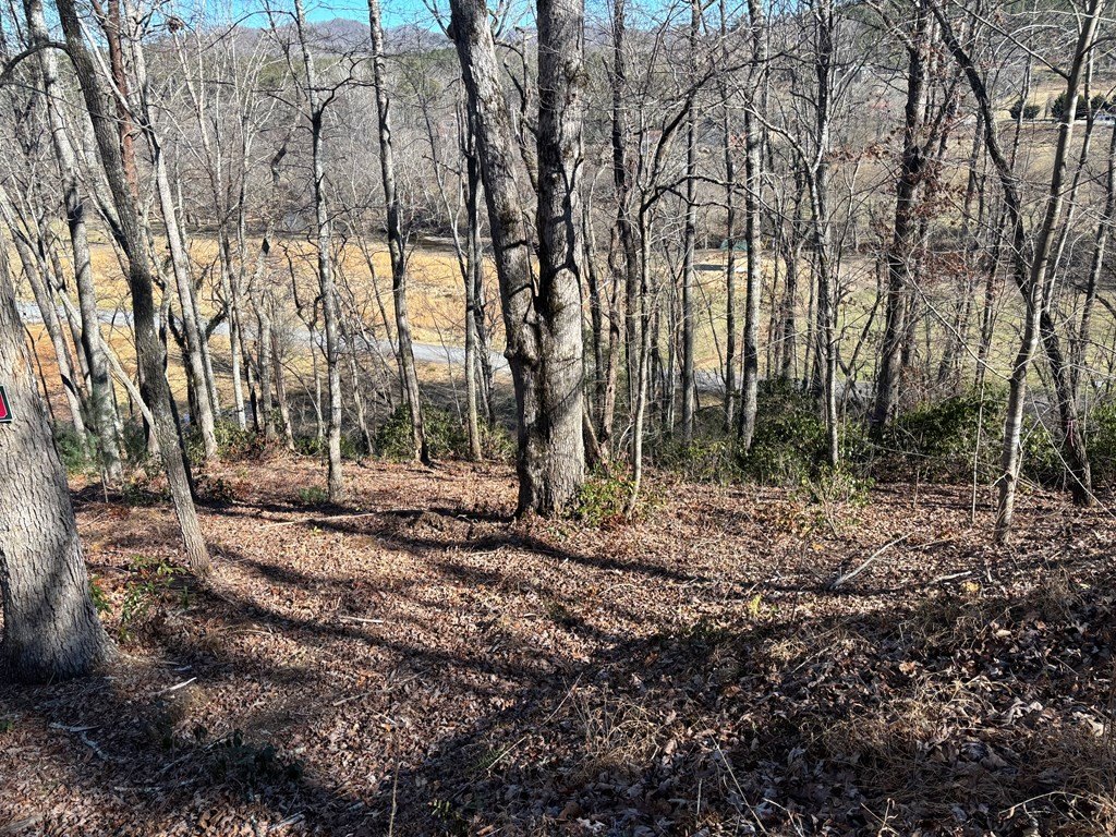 Picture 18