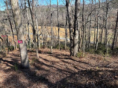 Warne, NC Vacant Wooded Lot