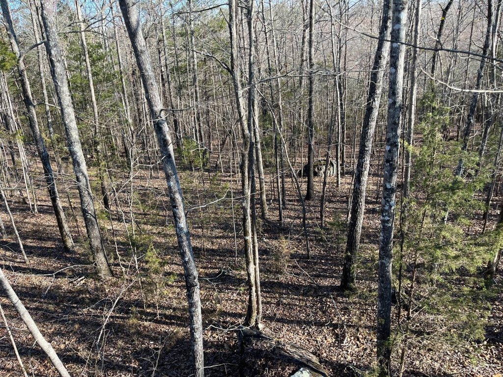 Picture 15