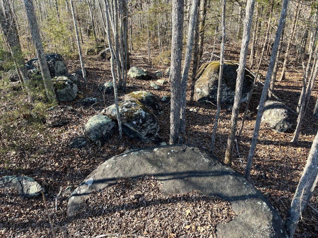 Picture 16