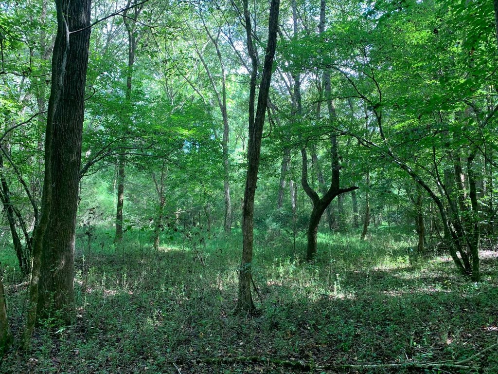 Picture 26