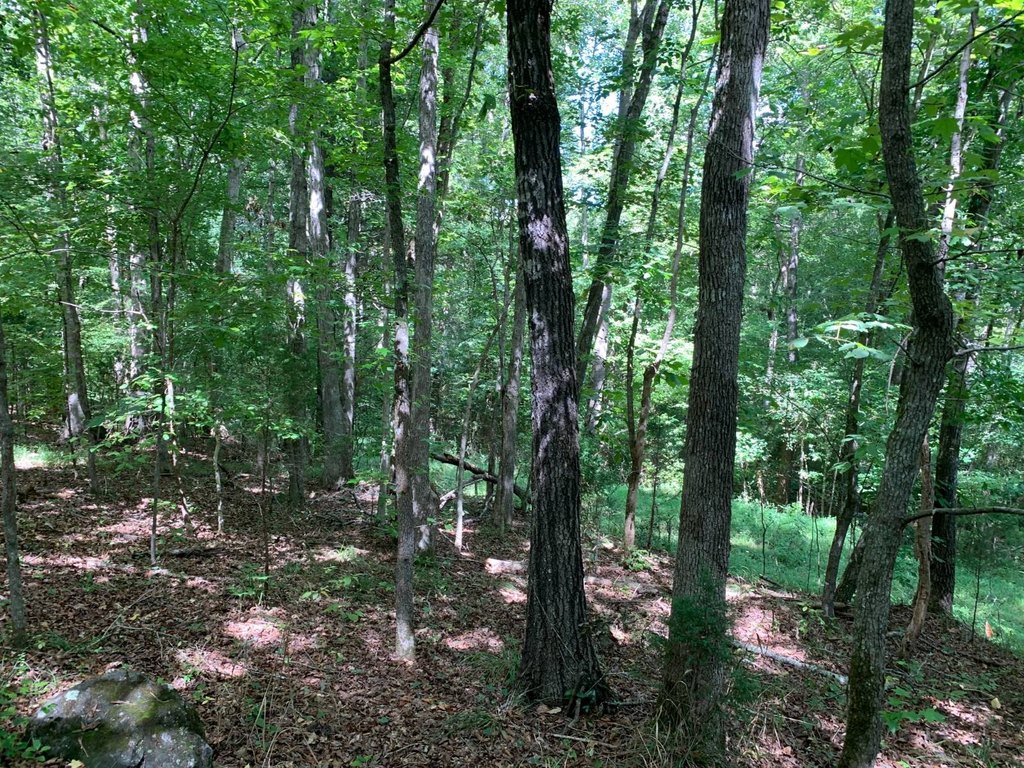 Picture 22