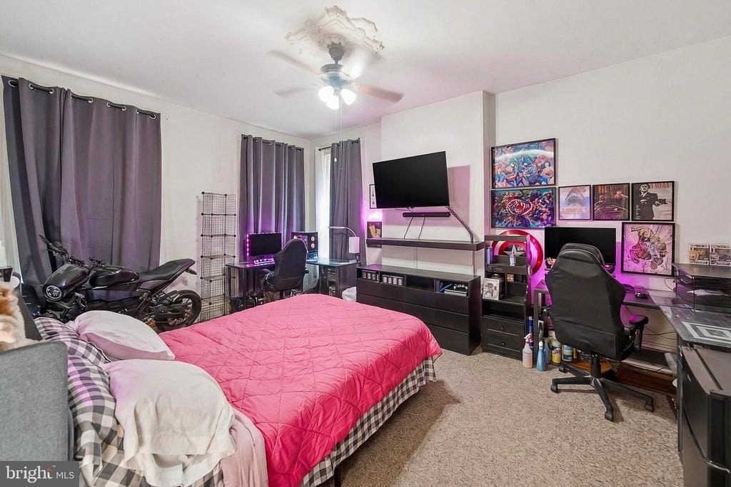 Picture 11