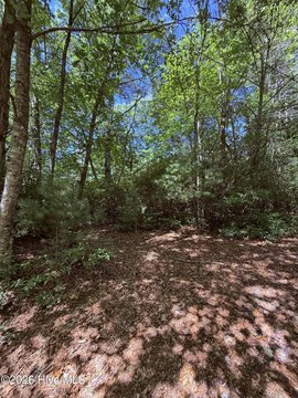 Land, Topton, NC
