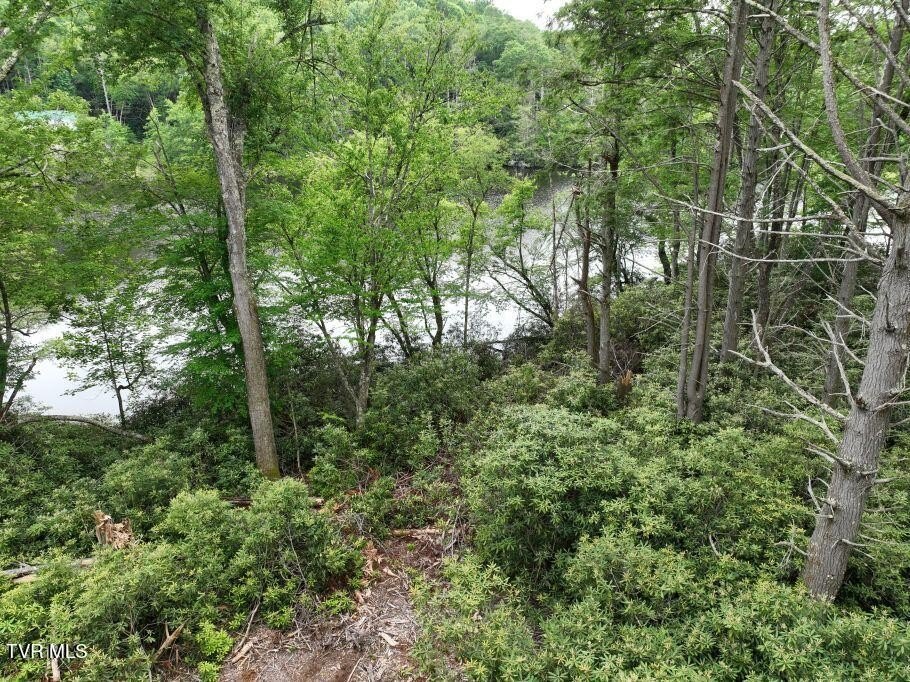 Lakefront Land in Roan Mountain