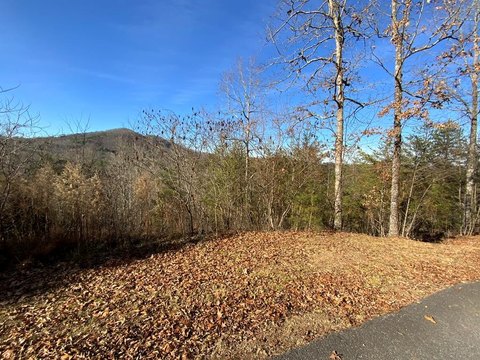 Mountain-View Lot in Highland Creek
