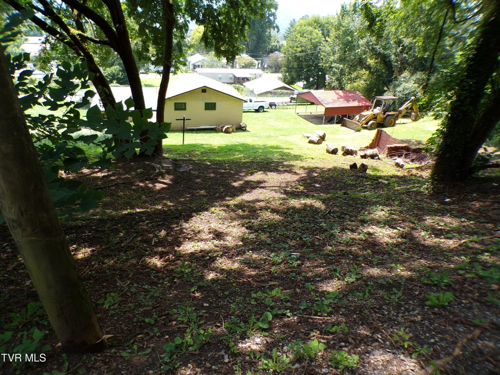 Picture 6
