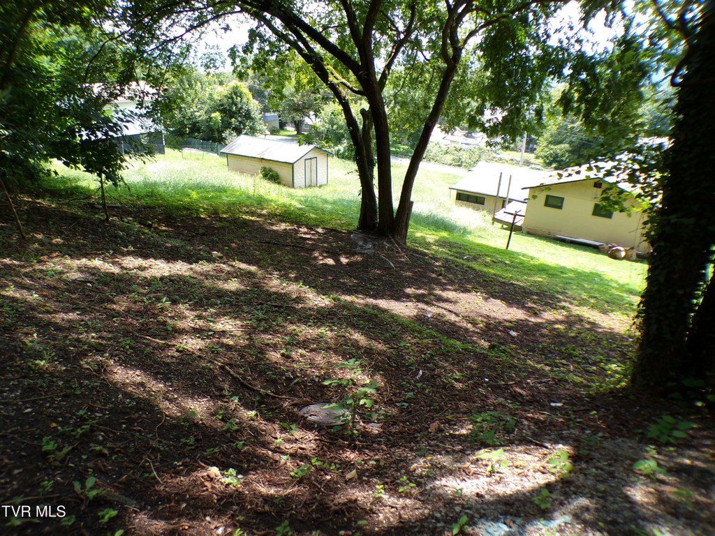 Picture 3