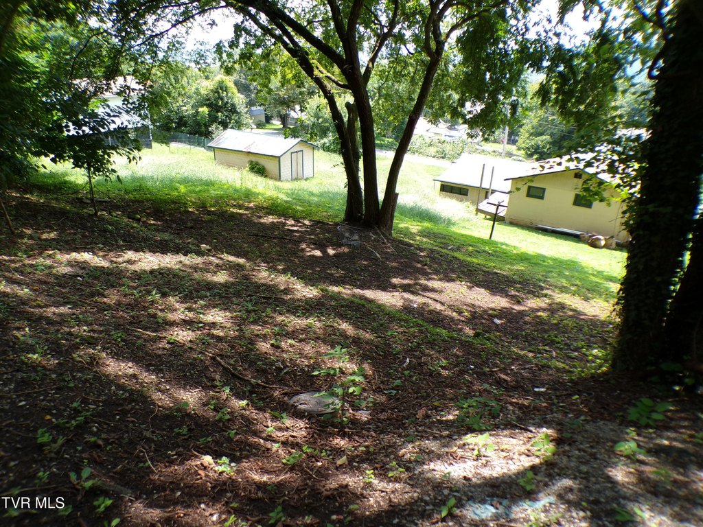 Picture 2