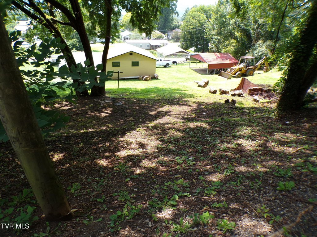 Picture 7