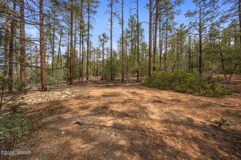Land, Show Low, AZ