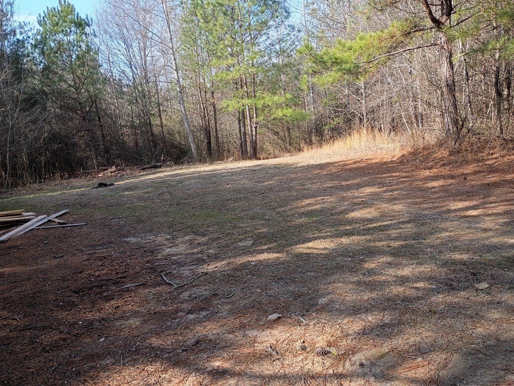 Picture 3