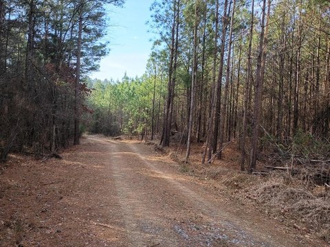 North Murray County Land