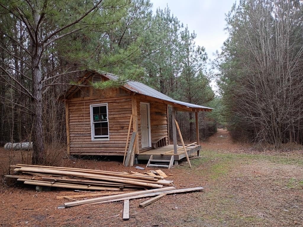 Picture 11
