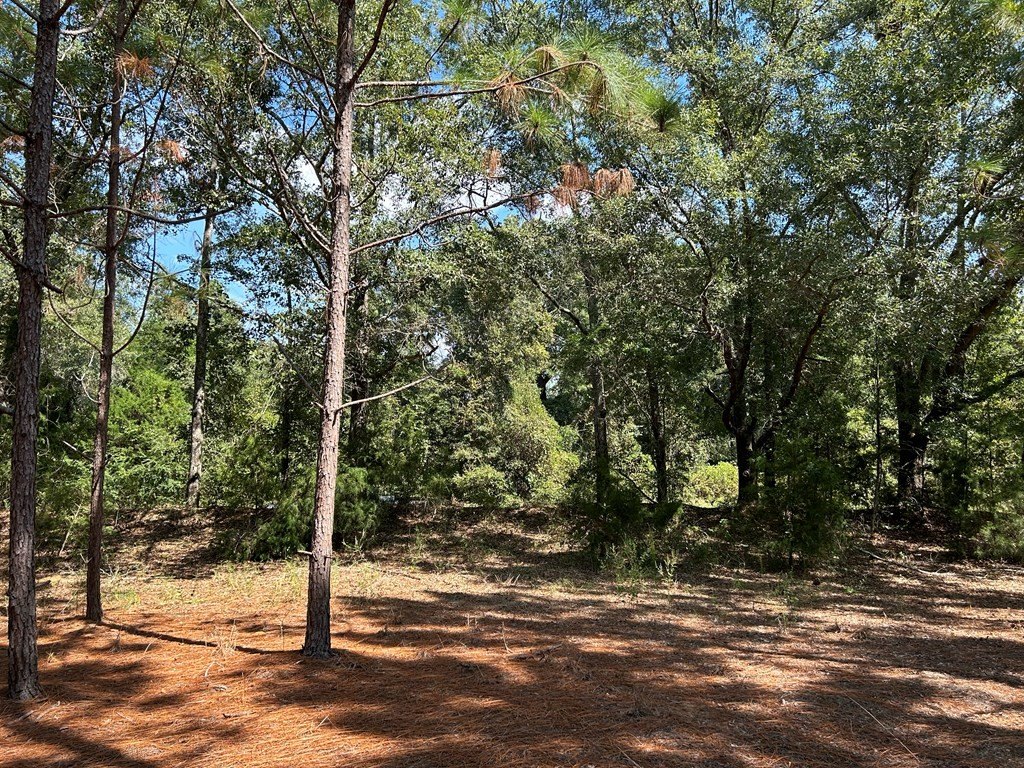 Picture 14