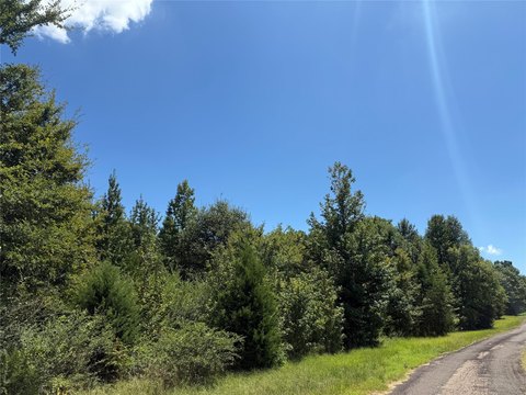 47.7 Acres of Wooded Land
