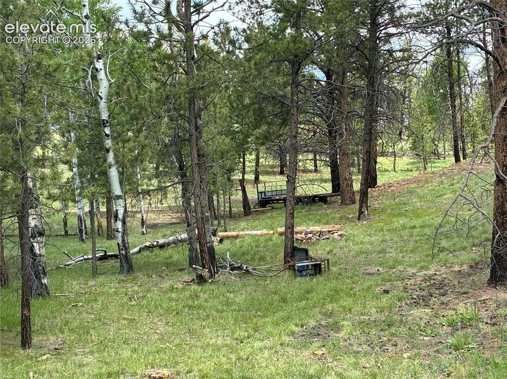 Picture 12
