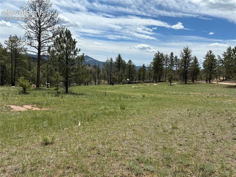 LAND - Florissant, CO