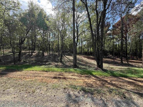 Residential Lot in Vinemont, AL