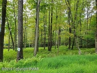 Pocono Lake Wooded Building Lot