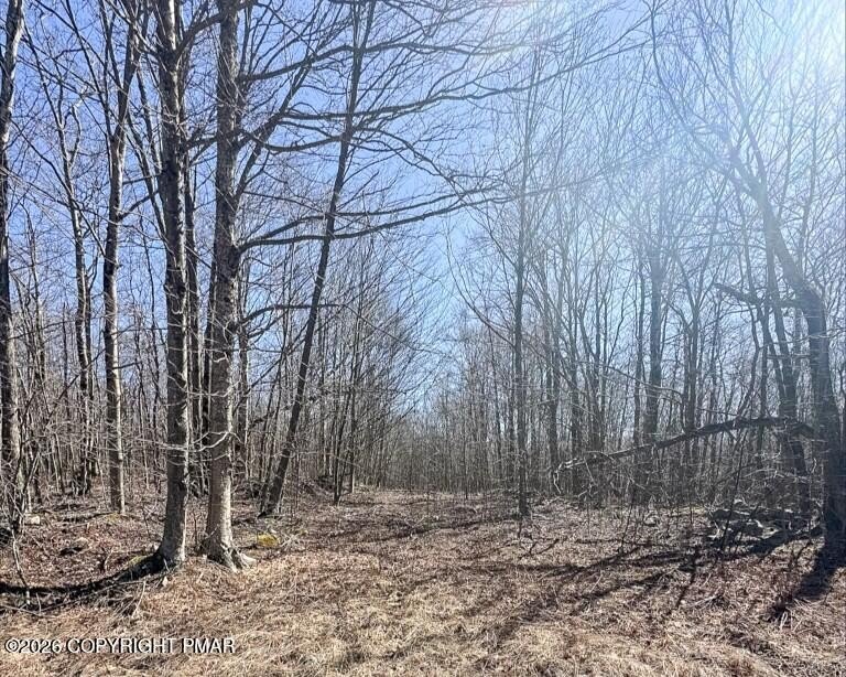 Pocono Land: Build Your Dream