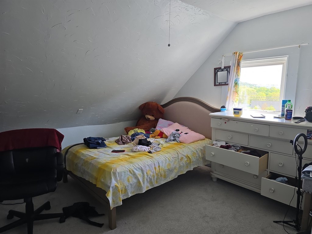 Picture 48
