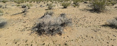 2.56 Acres in Pearblossom Foothills