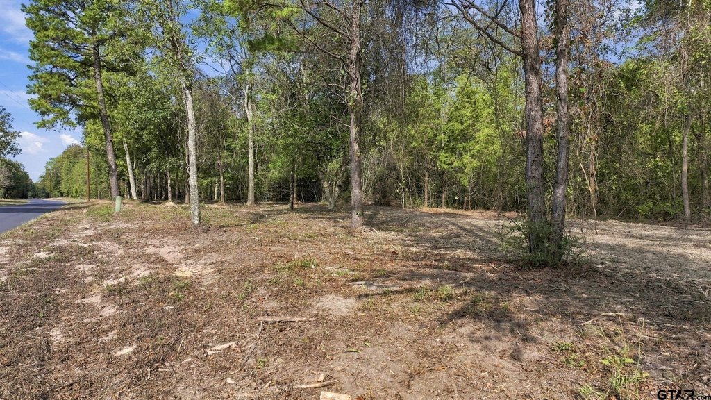 Picture 6