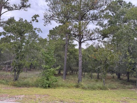 Land, Bolivia, NC