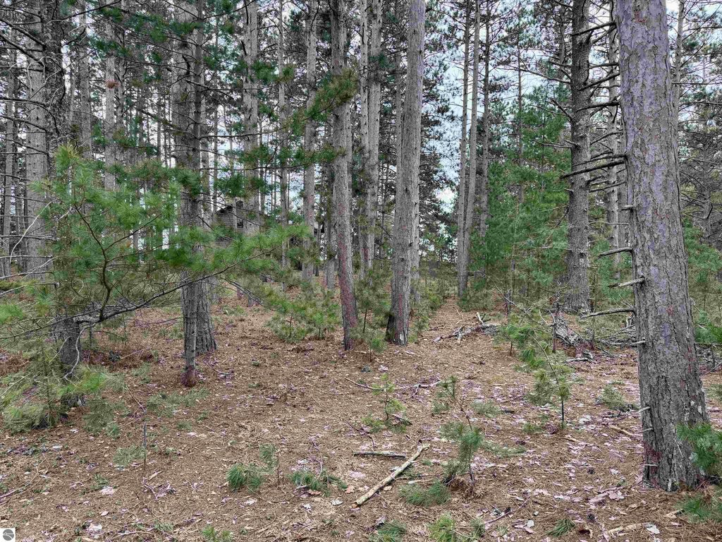 Picture 18