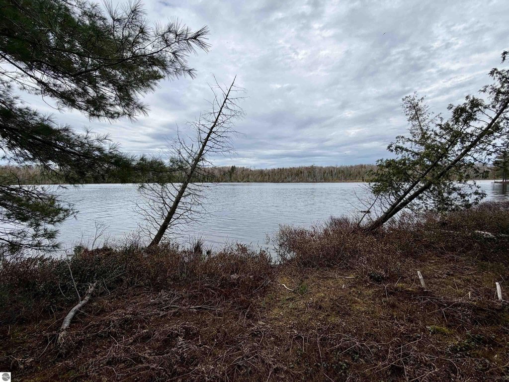 Picture 21