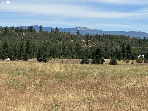 Land, Goldendale, WA
