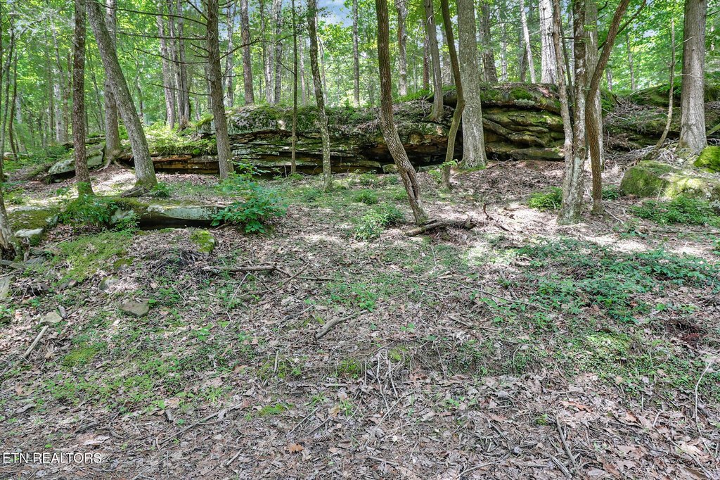 Picture 16
