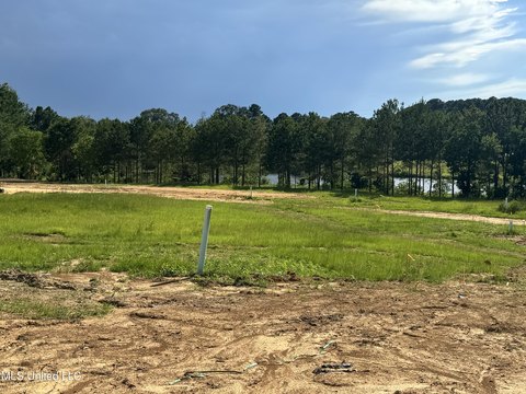 Land Opportunity in South Jackson