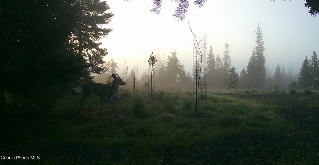 Picture 41