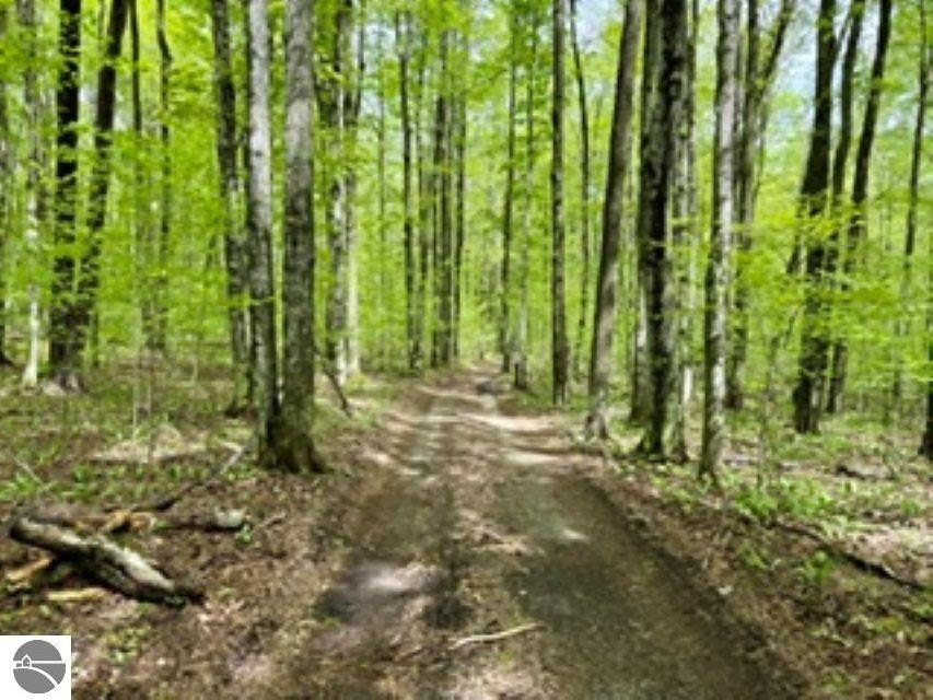 Picture 21
