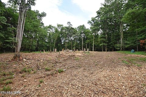 LAND - Knoxville, TN