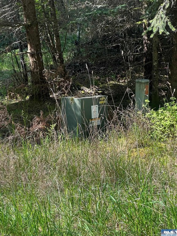 Picture 3